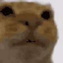 Awkward Twitch emote
