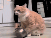 BittiEssi Twitch emote