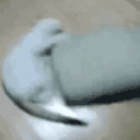 CatSpin Twitch emote