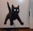 EEK Twitch emote