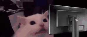 FLASHBANG Twitch emote