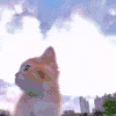 Freedom Twitch emote