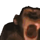 MONKE Twitch emote