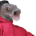 OOOOBANG Twitch emote