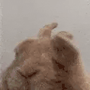 Vibe Twitch emote