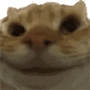 YesYes Twitch emote