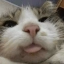 auh Twitch emote