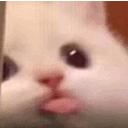 blalalala Twitch emote
