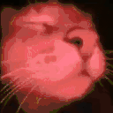 catJam Twitch emote