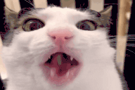 crunch Twitch emote