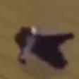 rocknSpin Twitch emote