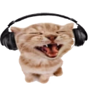 sillycatwithheadphones Twitch emote