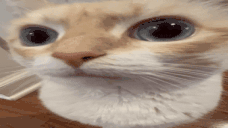 uuh Twitch emote