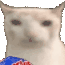 veryCat Twitch emote