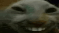 xdding Twitch emote